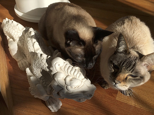 Sophia Michelle Delanner | About Anna... | Adam & Eve